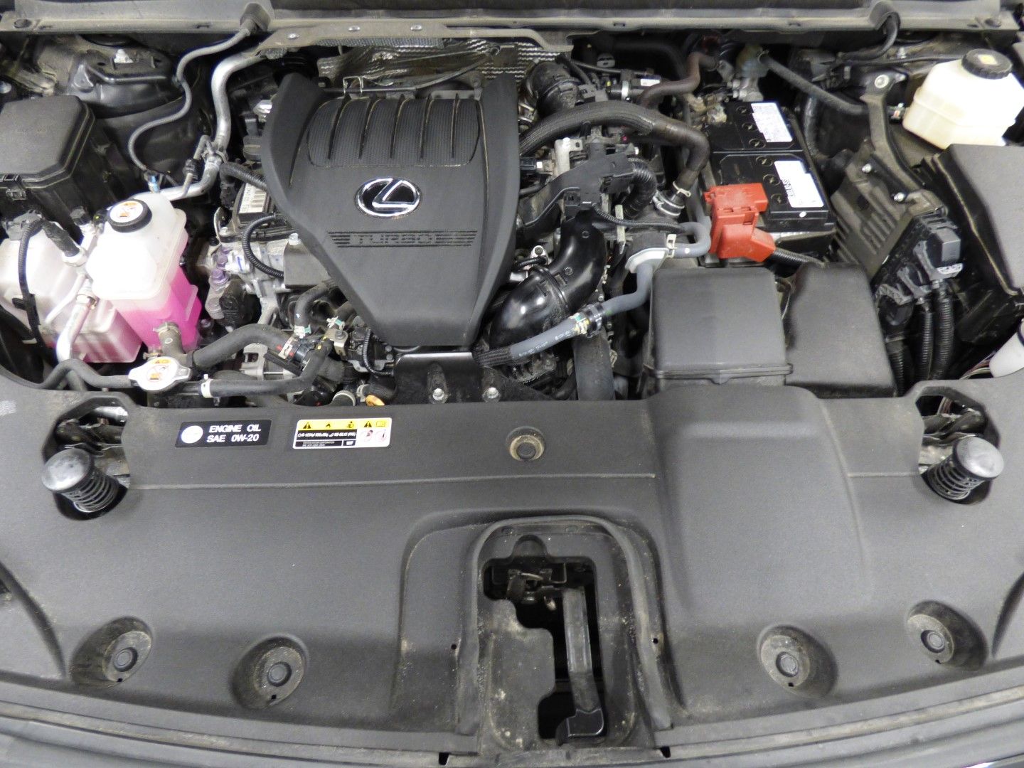 Lexus RX 350 2023 - Image 34